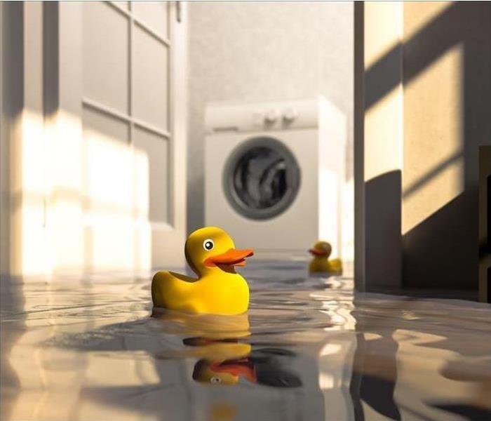 Rubber Duck Floating on Flooded Waters